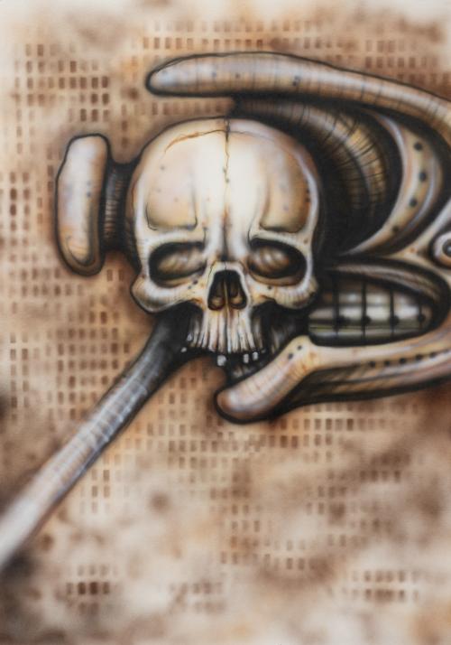 Skull